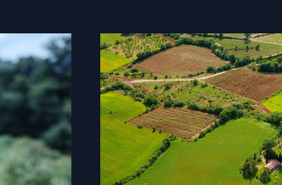 Aerial view of patchwork farmland