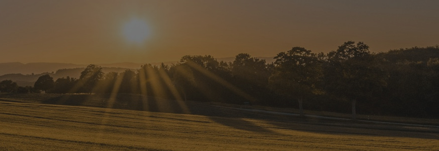 Golden farmland at sunrise with sun breaking over distant hills