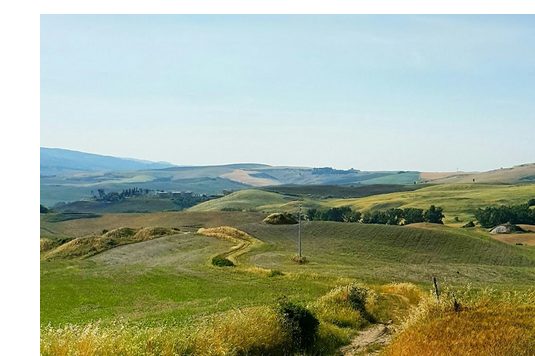 A winding path through green rolling farmland